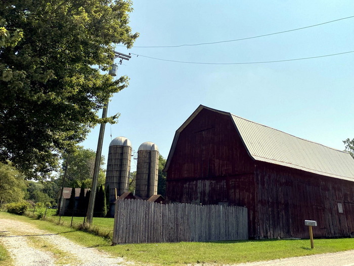 Adair - Summer 2021 Photo (newer photo)